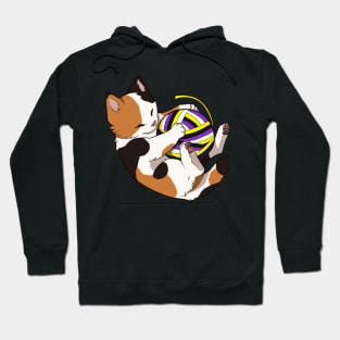 Nonbinary Pride Calico Cat Hoodie